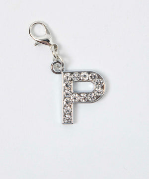 P（柄16）