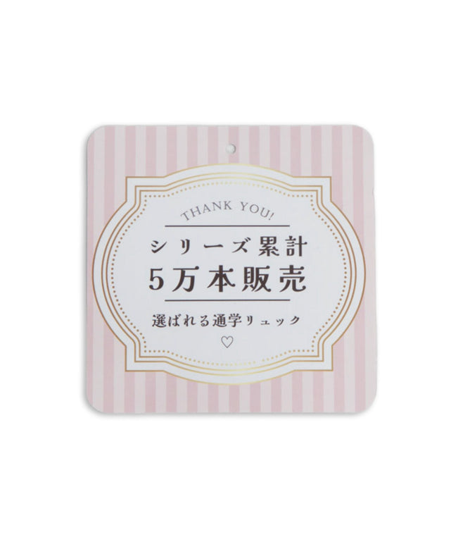イーストボーイデイパックA