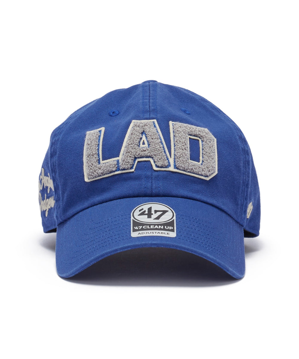 柄２：LAD