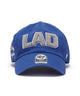 柄２：LAD
