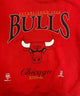 CHICAGO BULLS チームロゴスウェット
