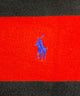 Ralph Lauren スウェット
