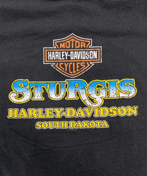 HARLEY-DAVIDSONTシャツ