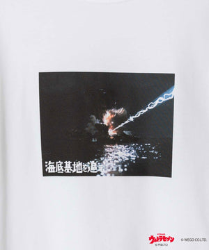 柄19
