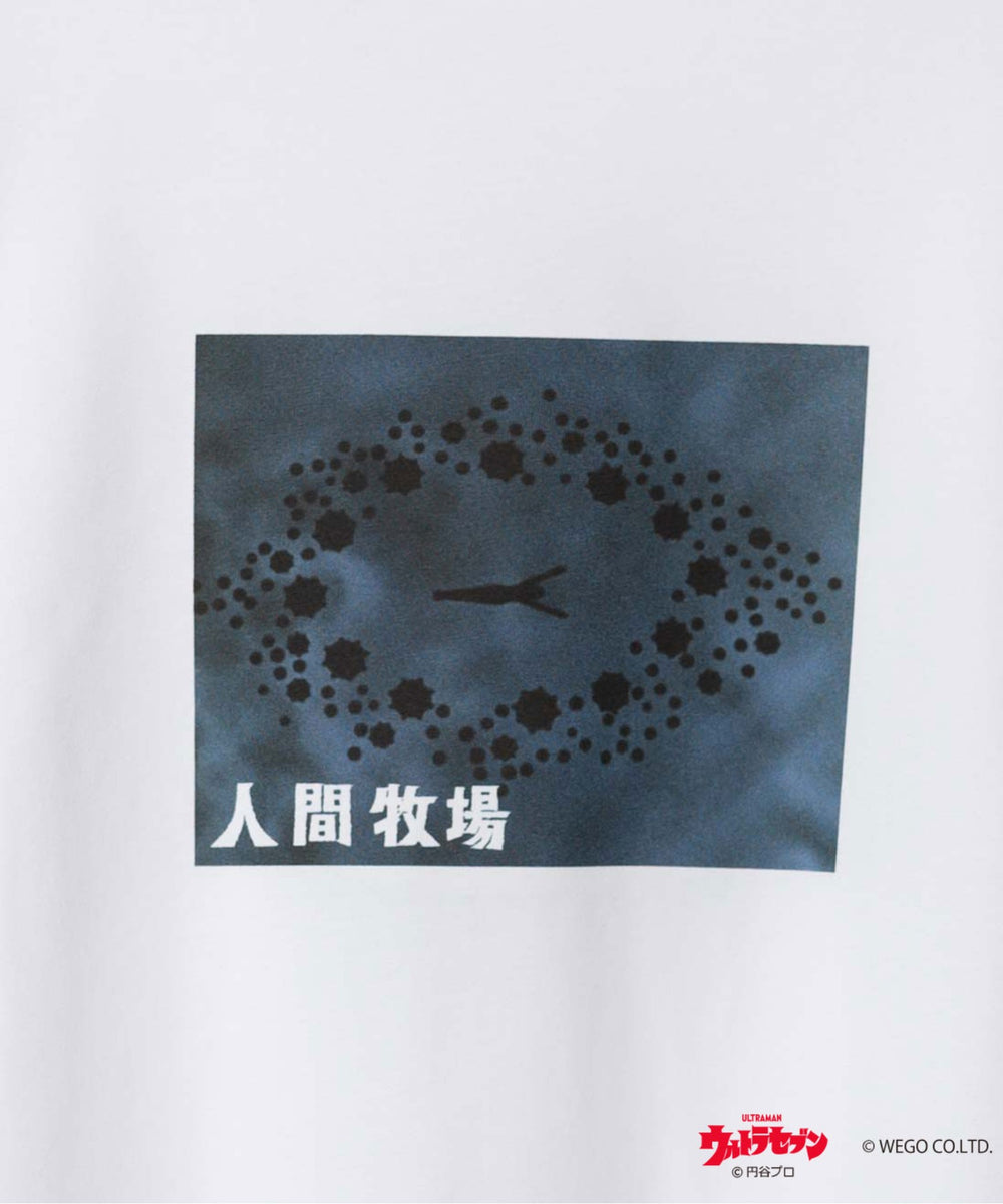 柄20