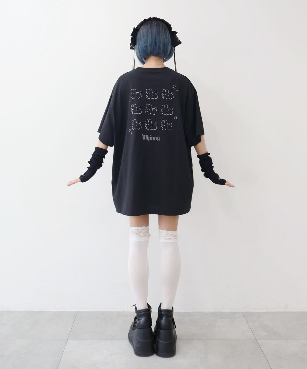 のろまうさぎの大図鑑