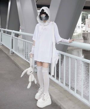 のろまうさぎの大図鑑