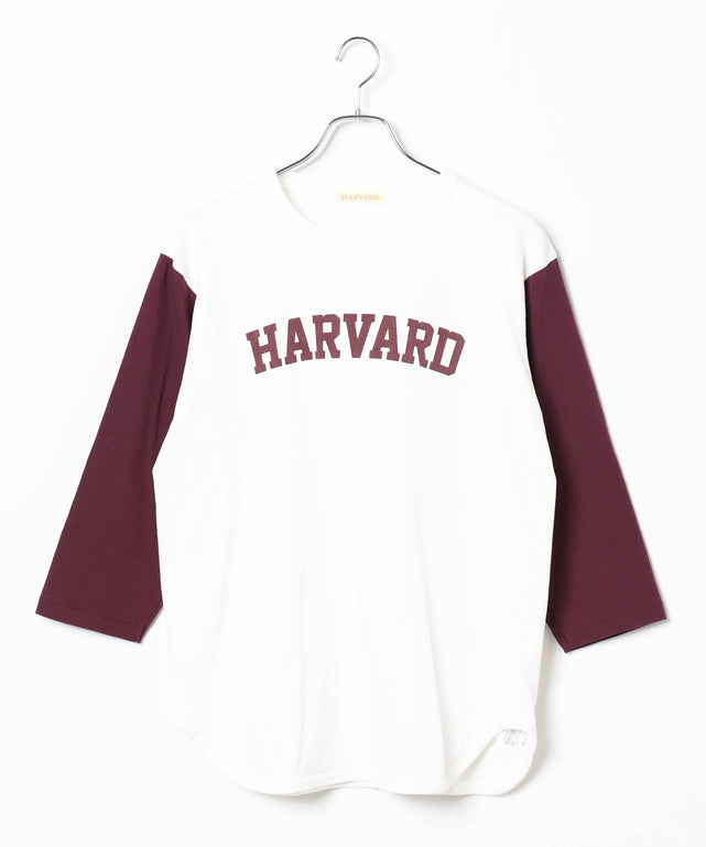HARVARDベースボールT/ワイン